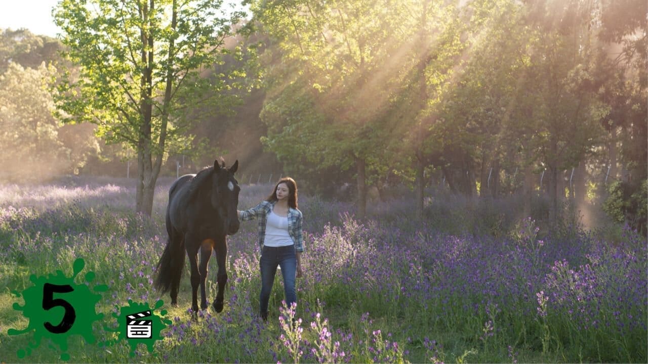 Black Beauty (2020) Review – More Standardbred Than Thoroughbred