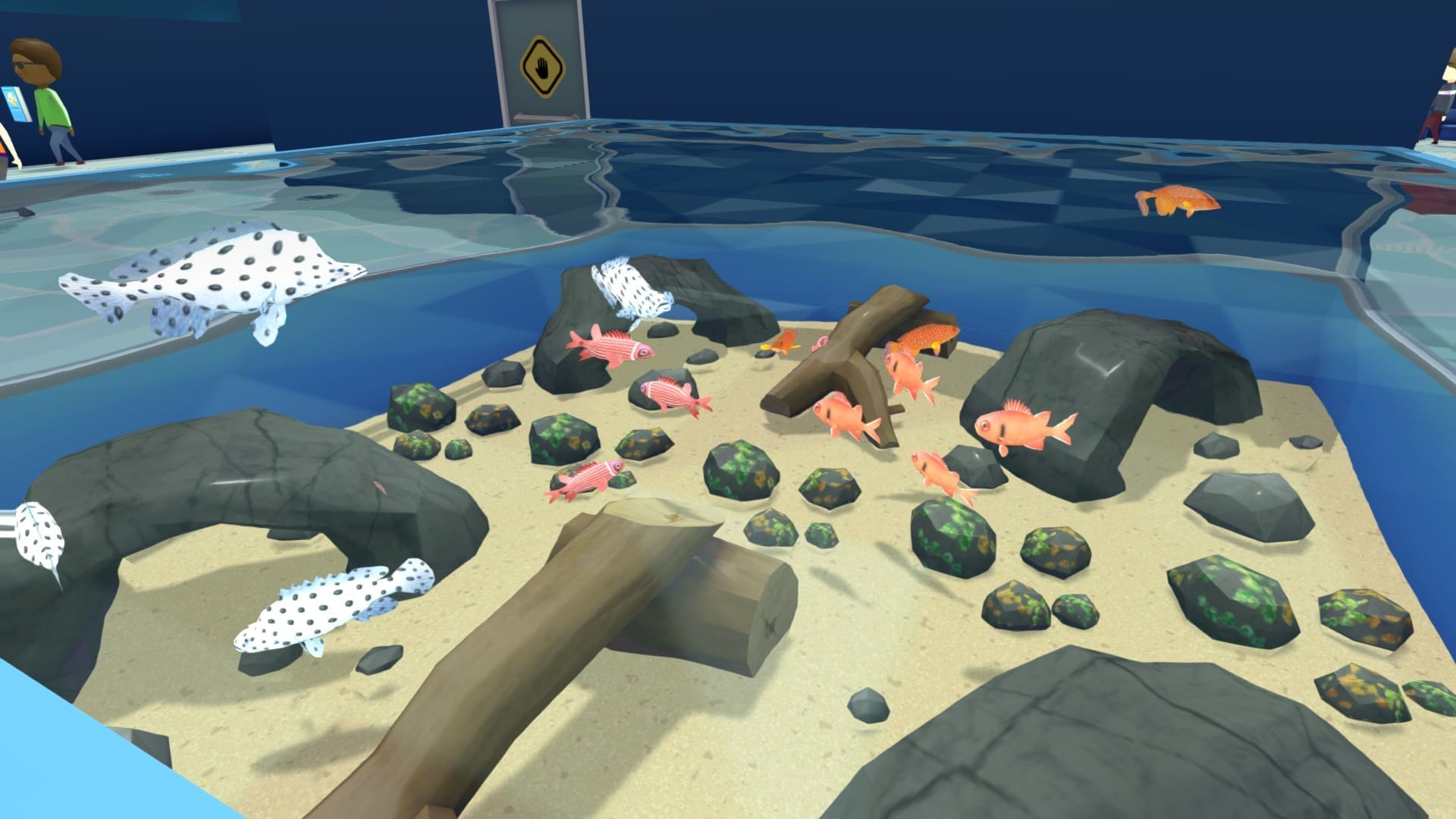 Megaquarium aquarium layout