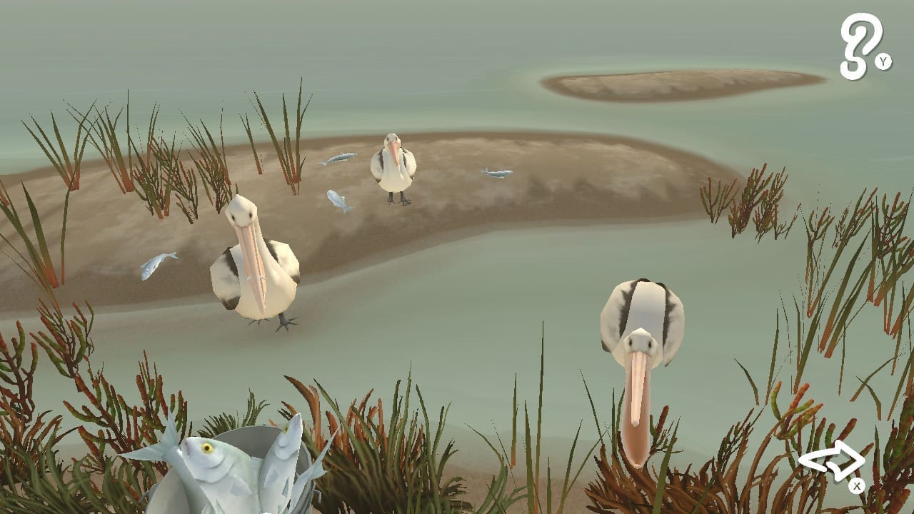 Storm Boy Gameplay 4