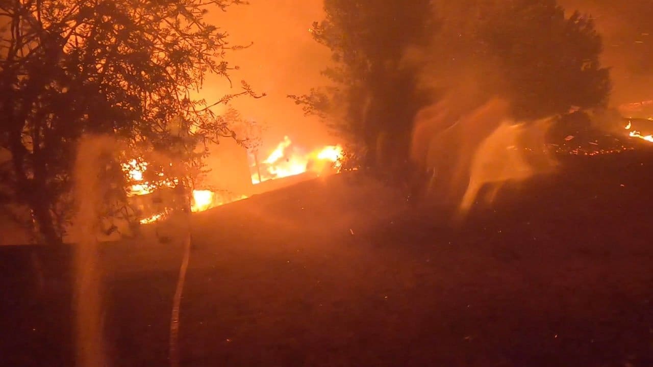 Black Summer documentary still