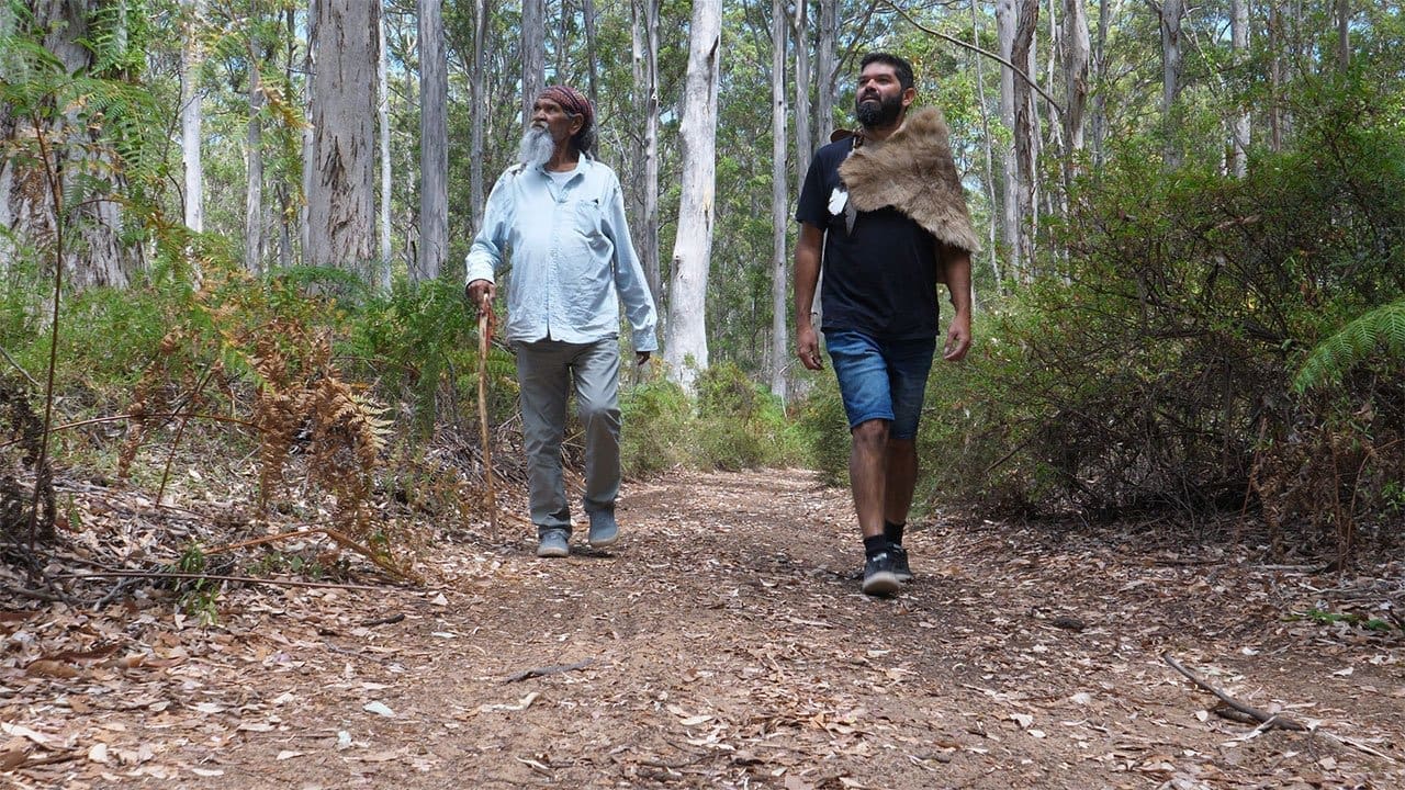 Cry of the Forests header