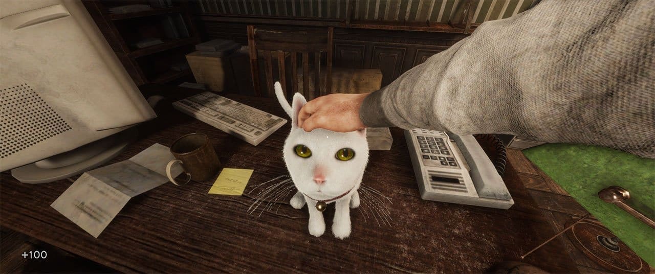 image captured by the author