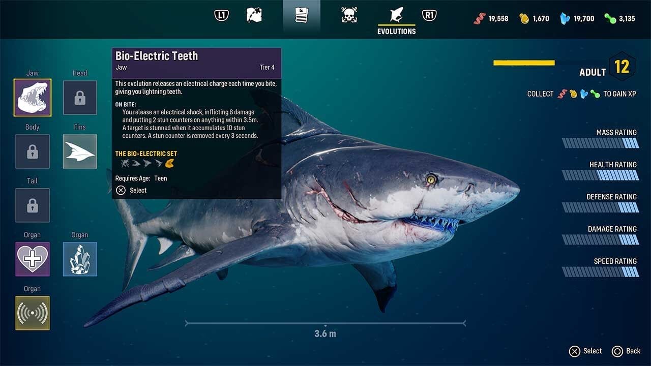 Upgrade system — image captured by author