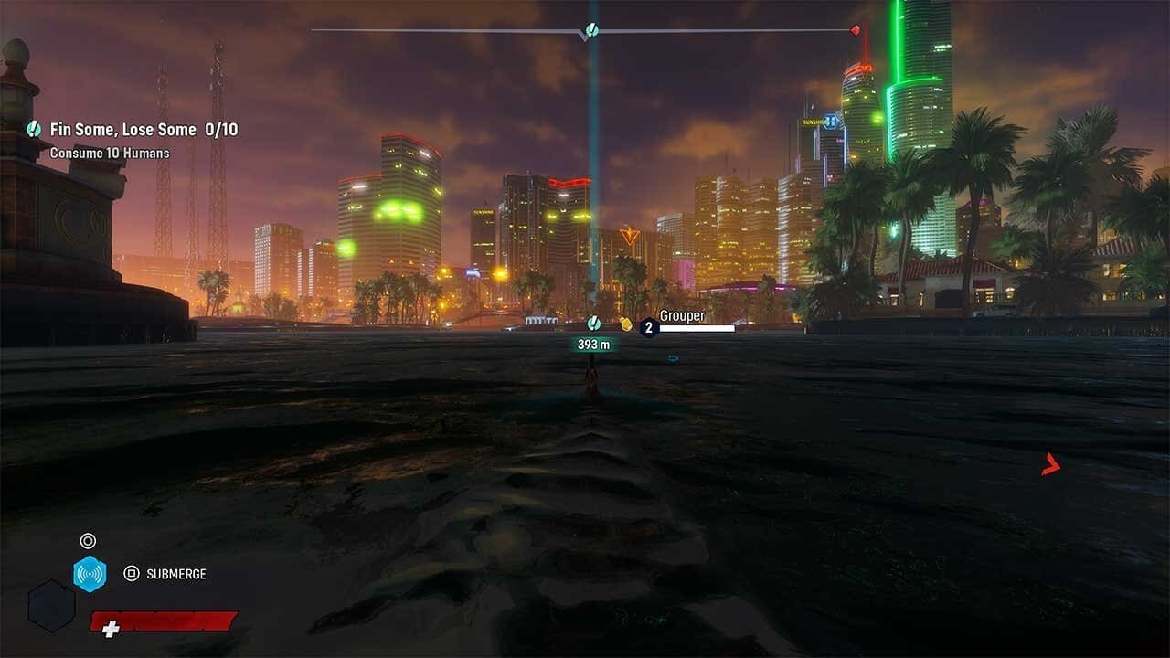 On the hunt — image captured by author