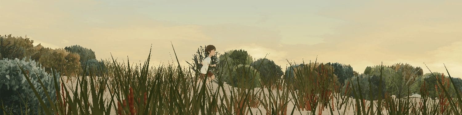 Storm Boy Review Banner