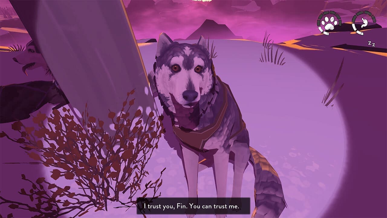 If you let Fin chase a skunk you can earn his trust going forward and he’ll learn to sniff out more useful things — image captured by the author