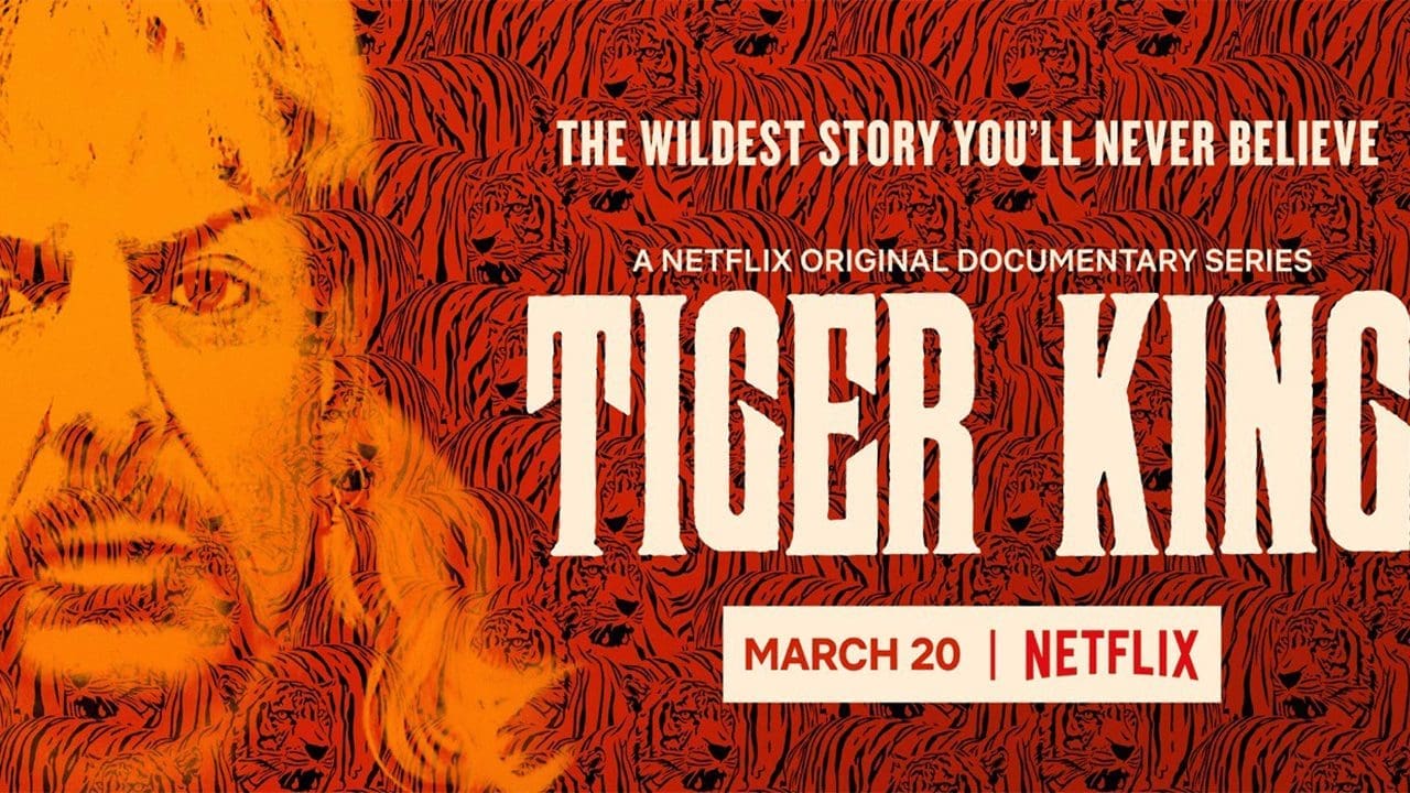 Tiger King: Murder, Mayhem, And Madness Review