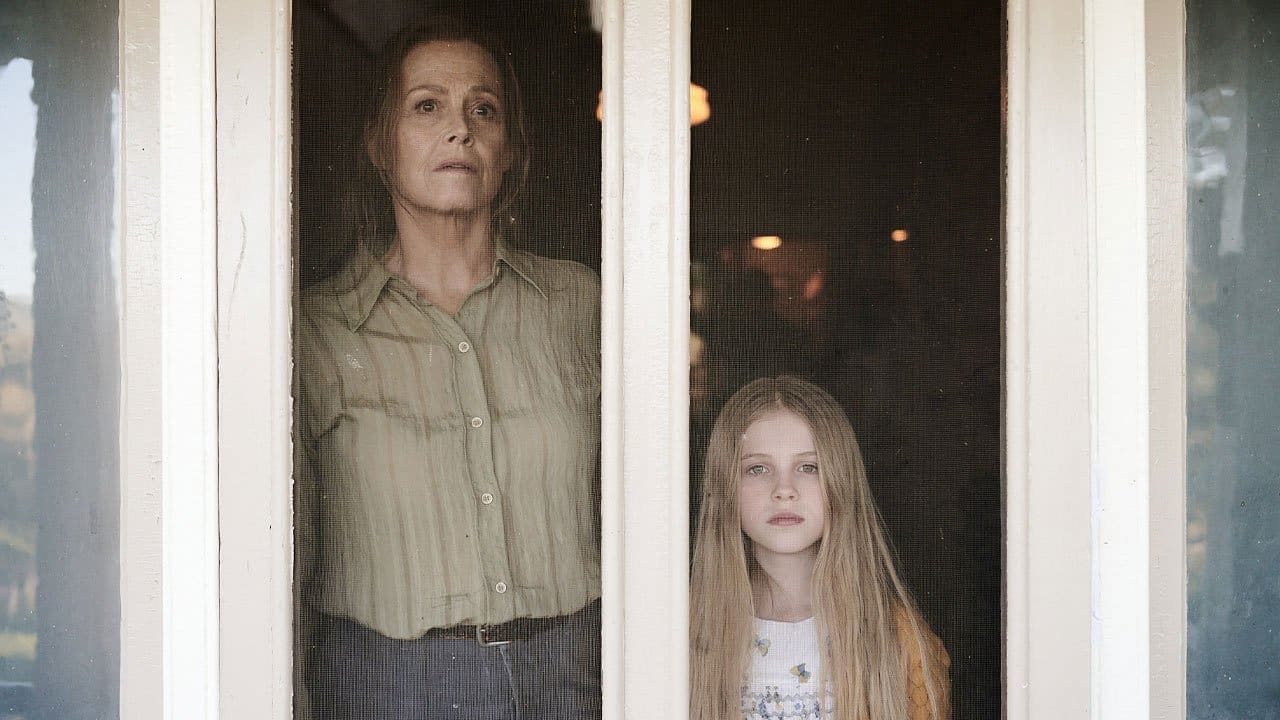 Prime Video debuts trailer for adaptation of best-seller The Lost Flowers of Alice Hart