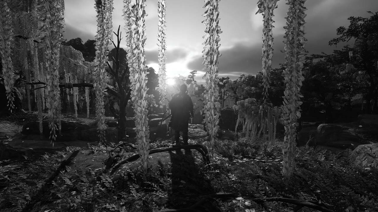  Before the showdown with The Eagle, Jin takes a moment to do some soul-searching on the horizon. 