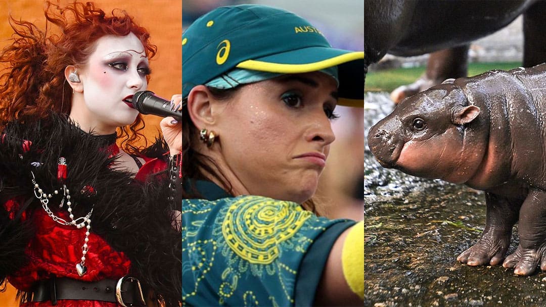 The 10 Biggest Pop Culture Moments [Best of 2024]