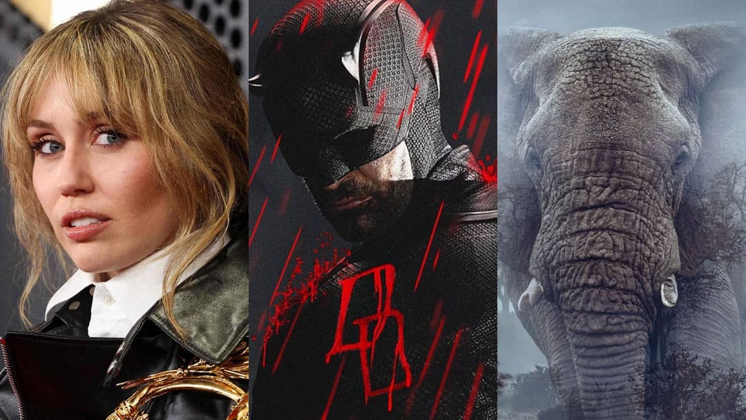 Everything coming to Disney+ in March 2026